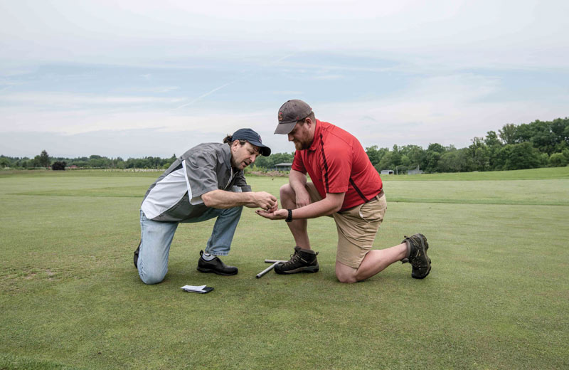 The people’s champion: Frank Rossi, Ph.D. Frank Rossi Extension work