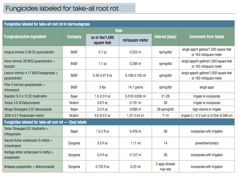 root-rot-table1
