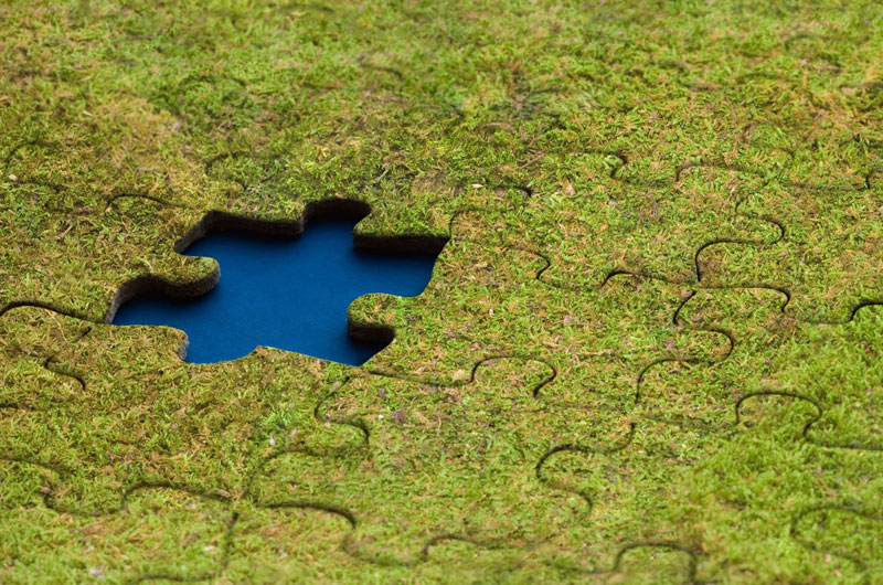 Grass puzzle