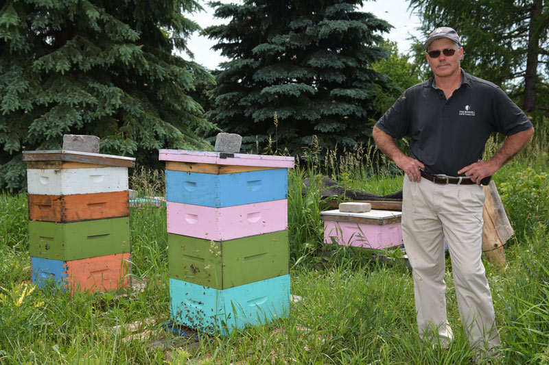 A honey of an operation at Thornhill Golf & Country Club Superintendent Greg McFarlane