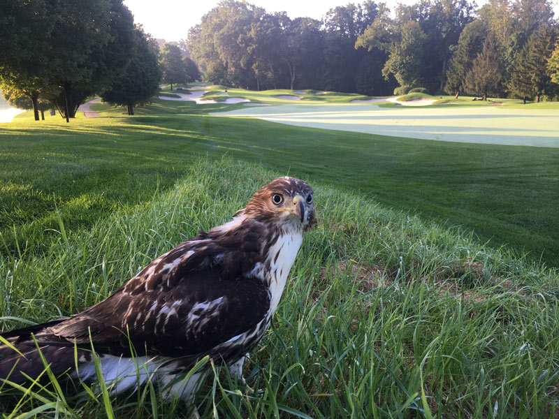 River-Friendly golf course