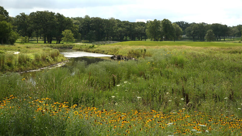DuPage County opens revamped, eco-conscious golf course DuPage County opens revamped, eco-conscious golf course