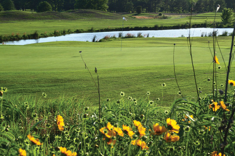 Going native in the rough at Ben Geren Golf Course