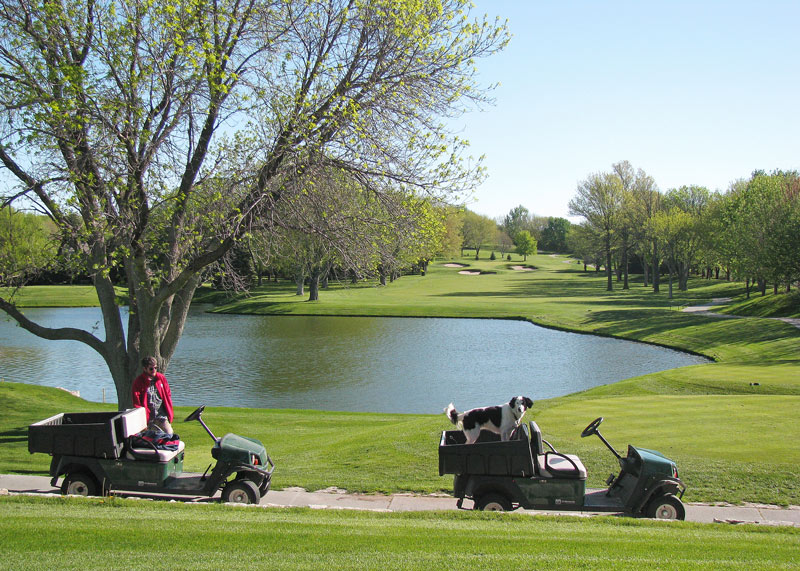 Golf course tree care