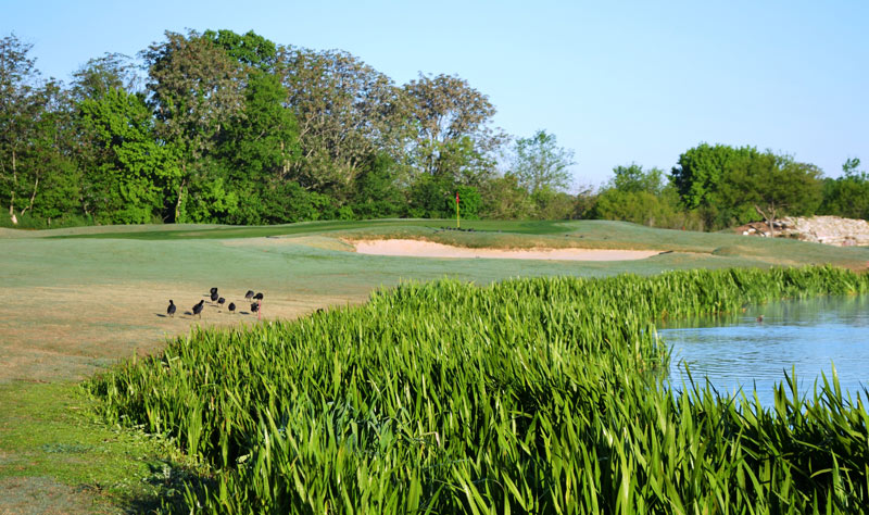 Roy Kizer Golf Course: A tribute in Texas Roy Kizer Golf Course