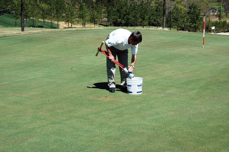 Golf course turf sample