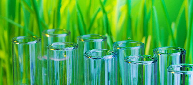 GCSAA funds $112,500 in turfgrass research Turfgrass research projects