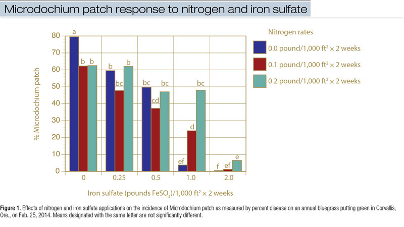 Microdochium patch nitrogen iron sulfate