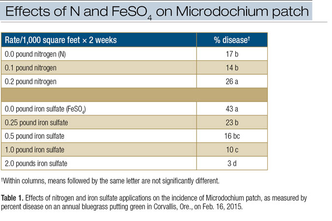 Effects of nitrogen and iron sulfate on Microdochium patch