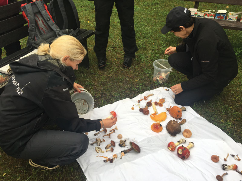 Golf facilities: An underutilized resource Motala Golf Club