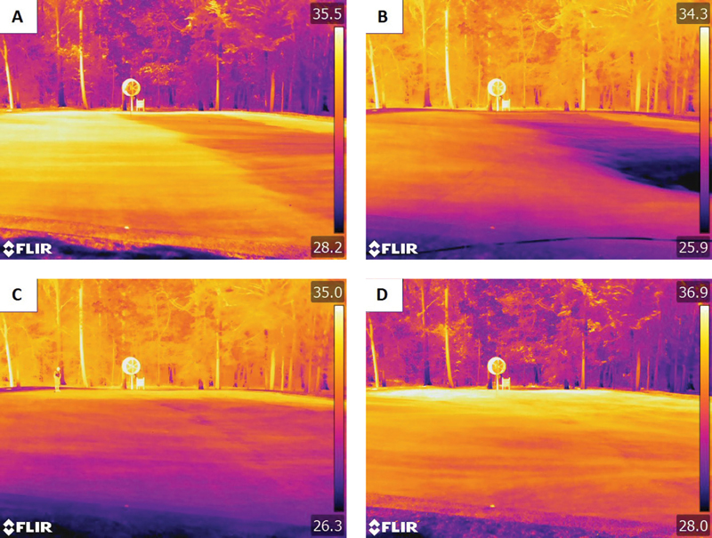 Syringing for turfgrass canopy cooling Turfgrass canopy syringing