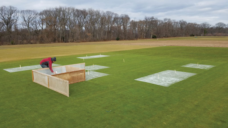 Putting green liming