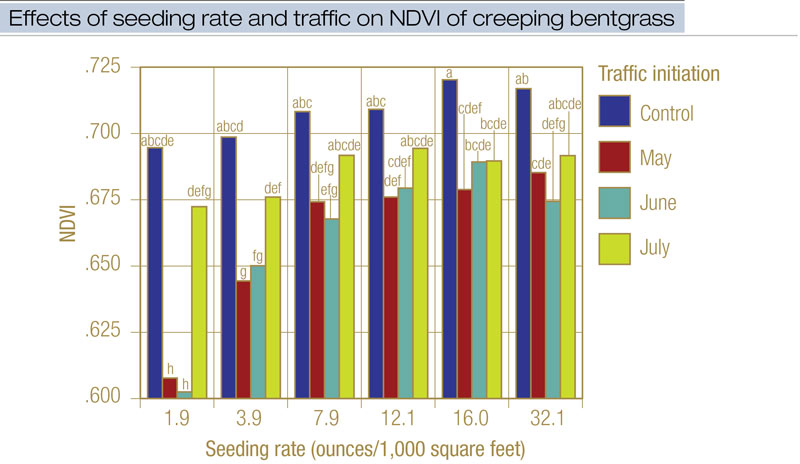 Effects of creeping bentgrass seeding rates and traffic on putting green establishment Creeping bentgrass NDVI