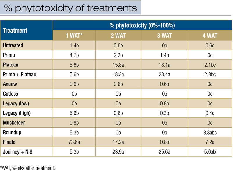 Using PGRs in golf course roughs PGR phytotoxicity
