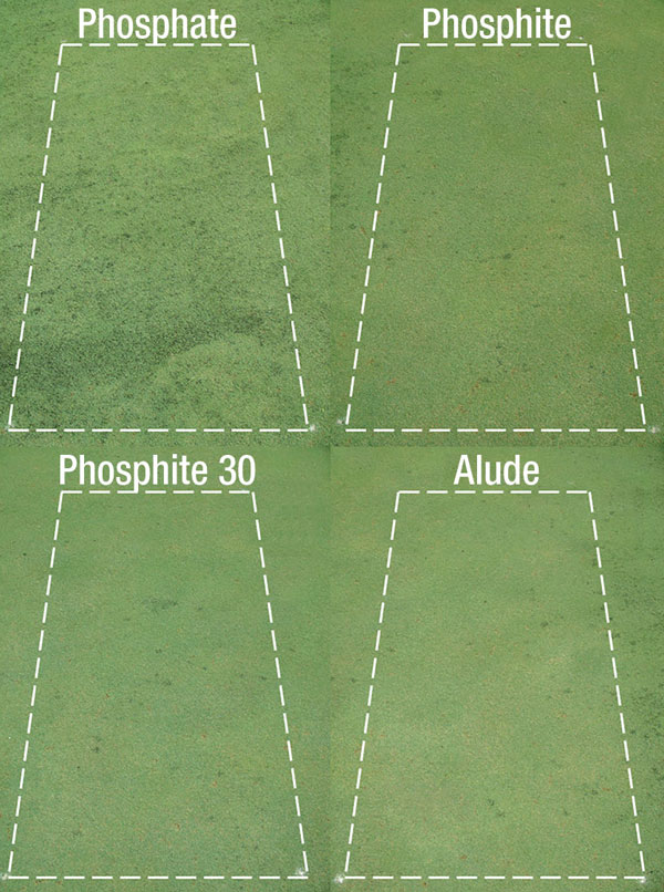 Phosphites algae control