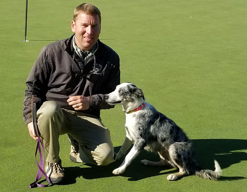 Dogged pursuit Border collies for golf course geese