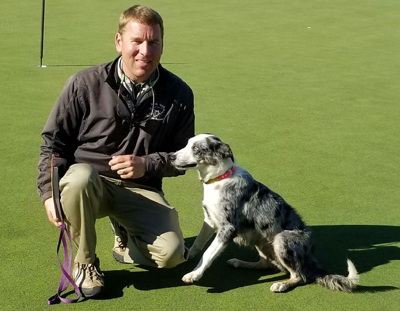 Dogged pursuit: Border collies for golf course geese control Barry Rewis