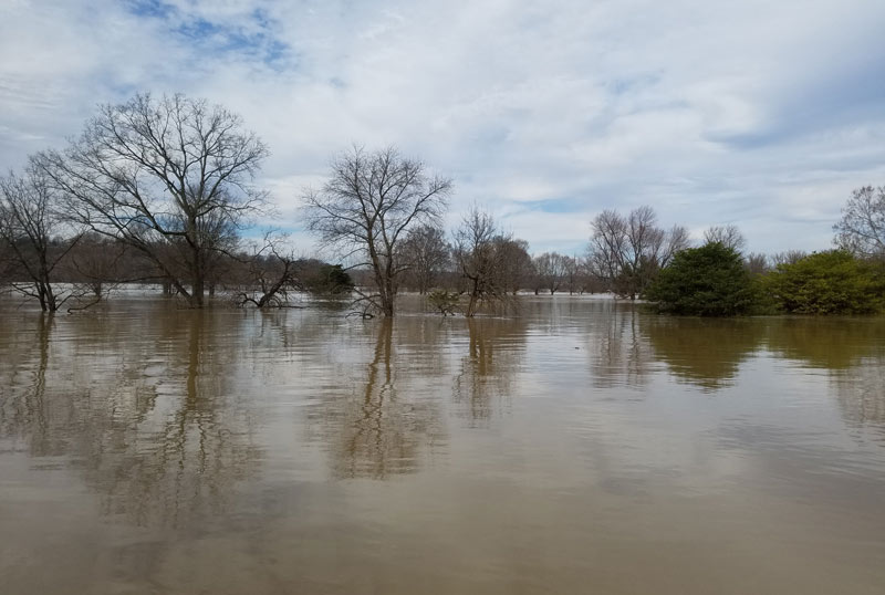 Flooded green