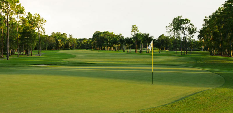 Quail Creek Country Club rebounds from Hurricane Irma Quail Creek Country Club
