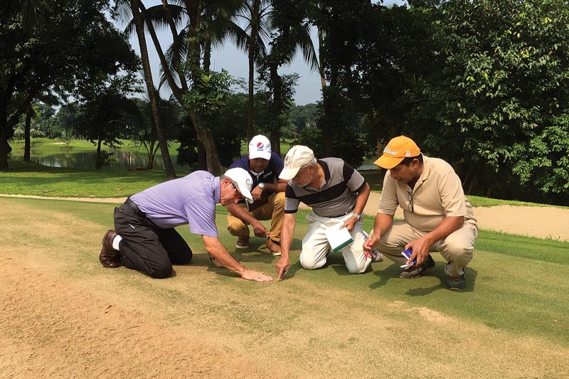 Golf course topdressing