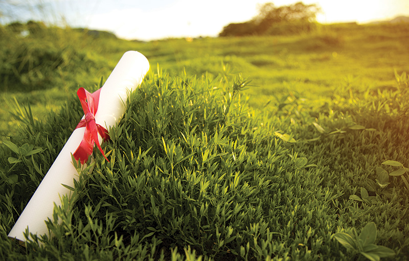 Certificate on a green