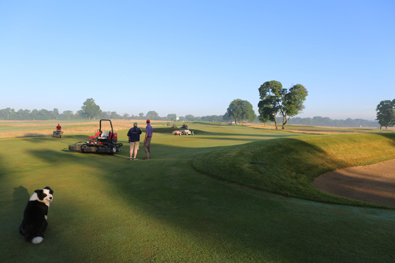 Volunteer pro golf event