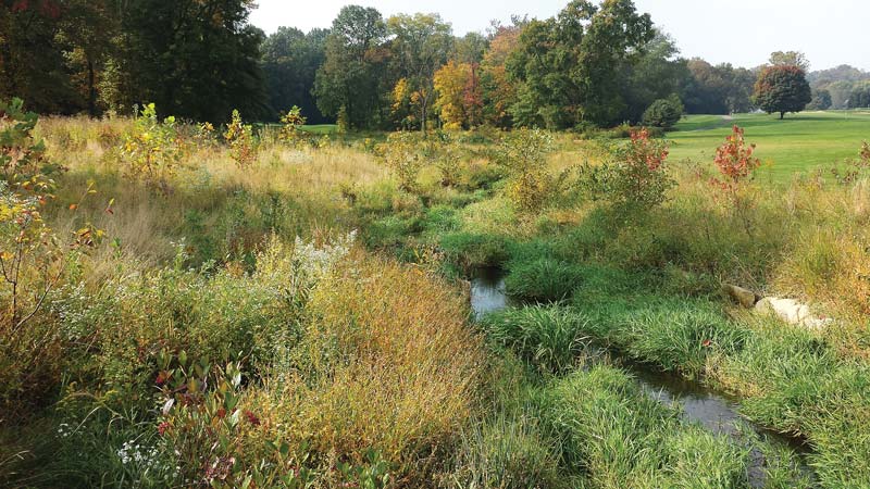 Red Clay Creek