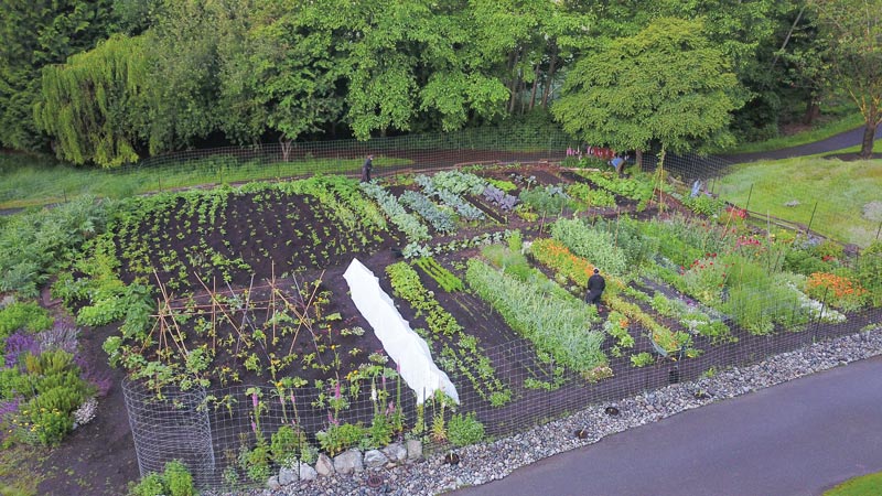 Fairway to table: Growing fresh food at Cordova Bay Golf Course Cordova Bay Golf Course