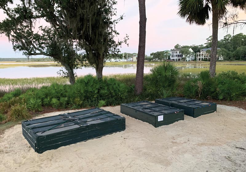 Turtle power: Georgia golf club hatches diamondback terrapins Turtle hatchery golf course