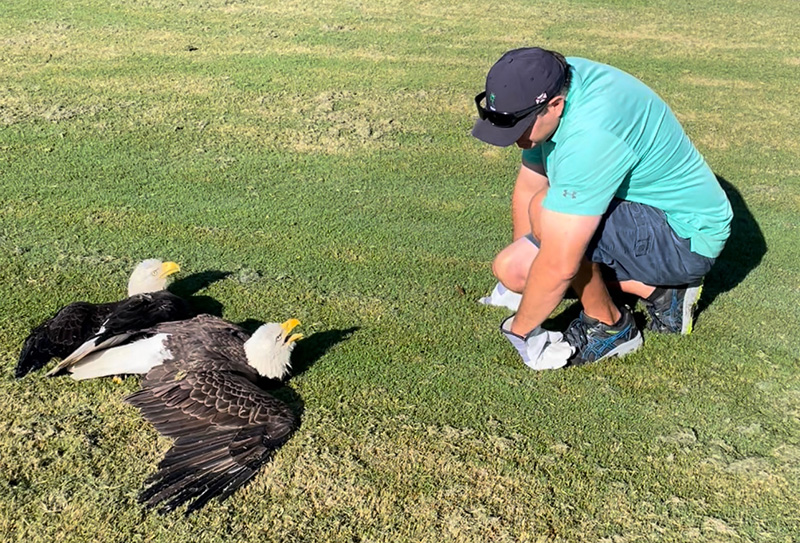 Aaron Jeffery and eagles