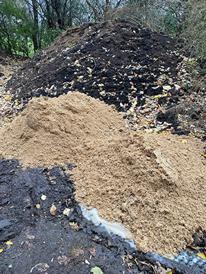 leaf cleanup