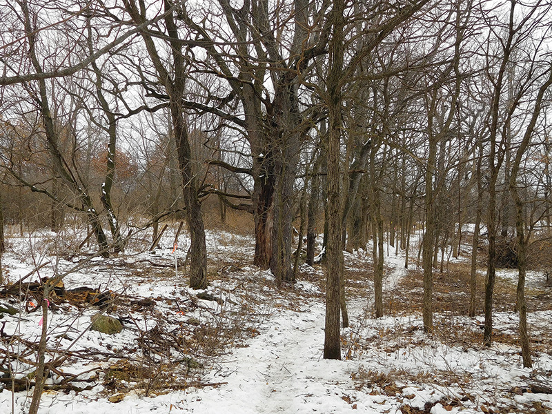 Ice Age Trail after cleanup