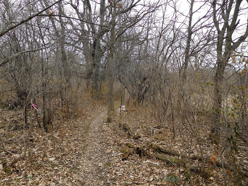 Ice Age Trail before cleanup
