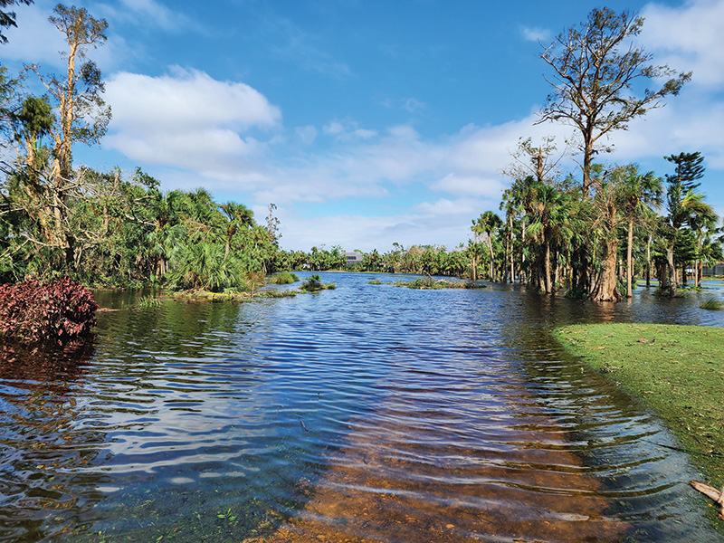 Hurricane Ian damage