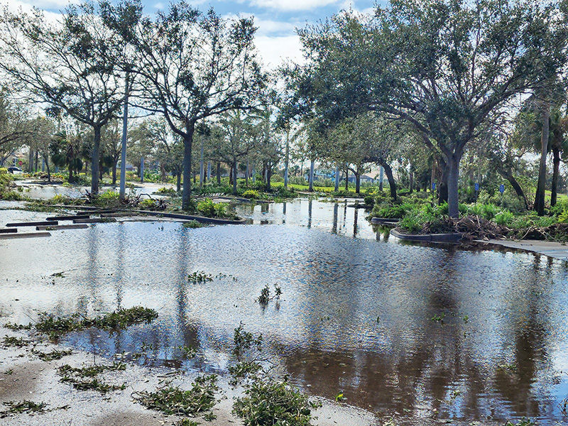 Hurricane Ian damage