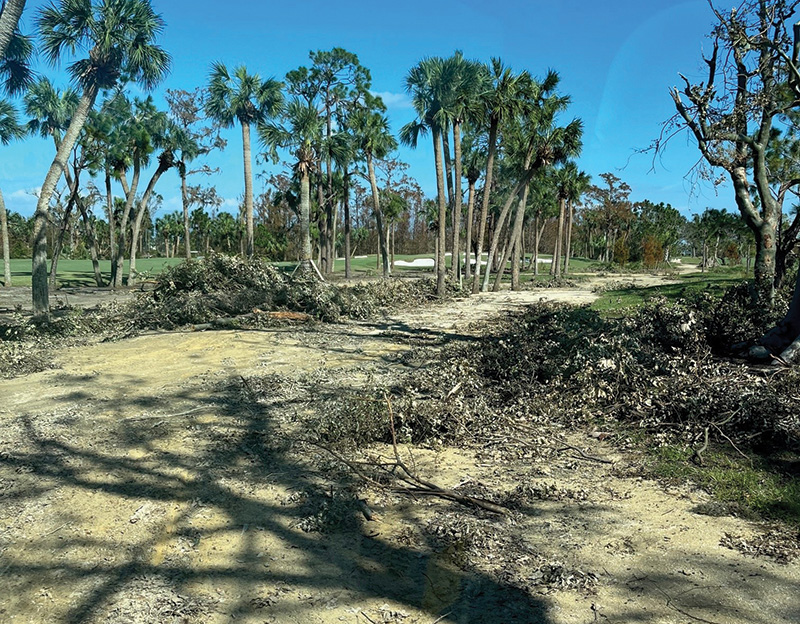 Hurricane Ian damage