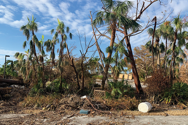 Hurricane Ian damage