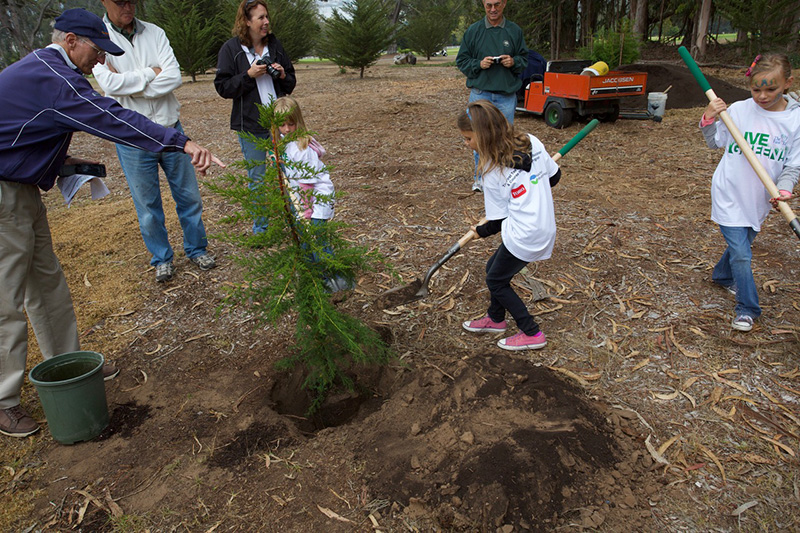 planting event