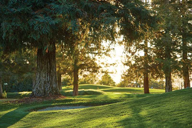 Trees at La Rinconada Country Club