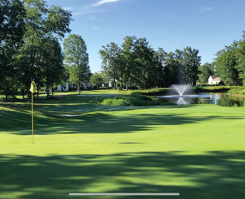 Trees at Westlake Golf and Country Club