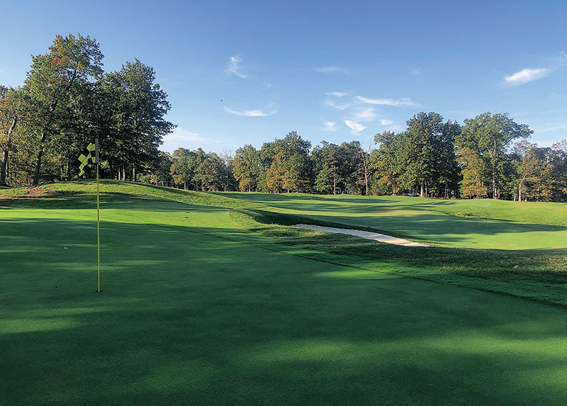 Trees at Westlake Golf and Country Club