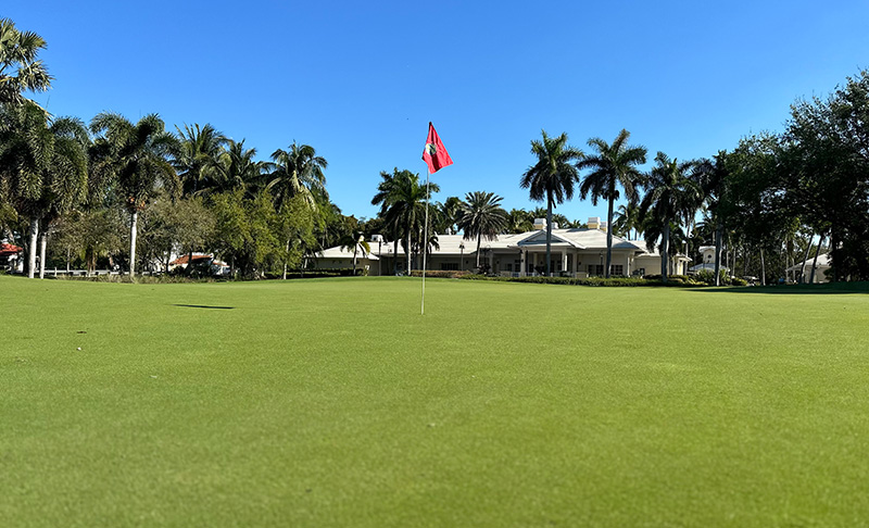 view of the green at Bridges at Springtree Golf Club