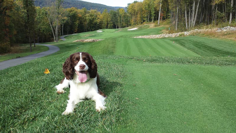 Black Oak Golf Club