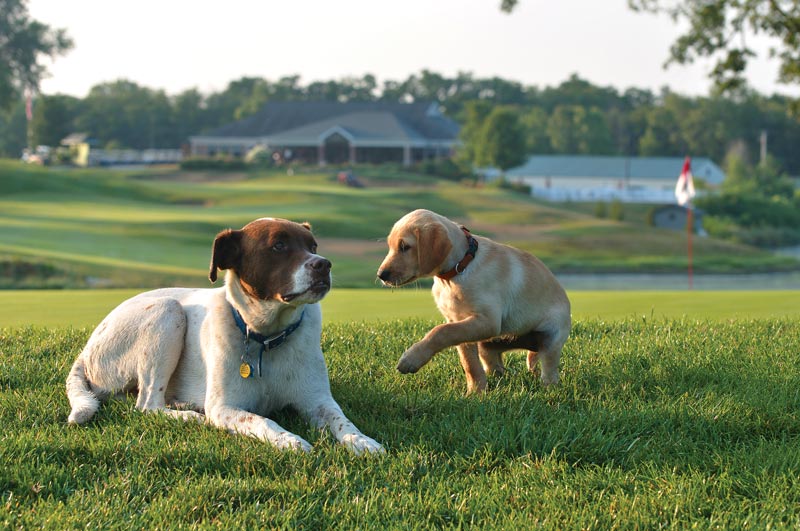 Effingham Country Club