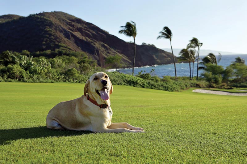 Makena Golf and Beach Club