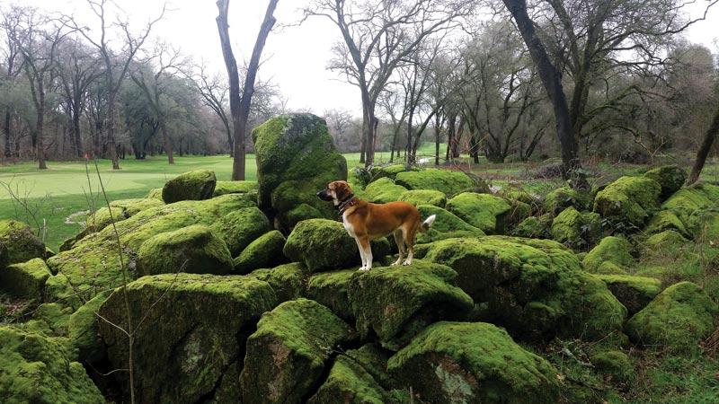 Turkey Creek Golf Club