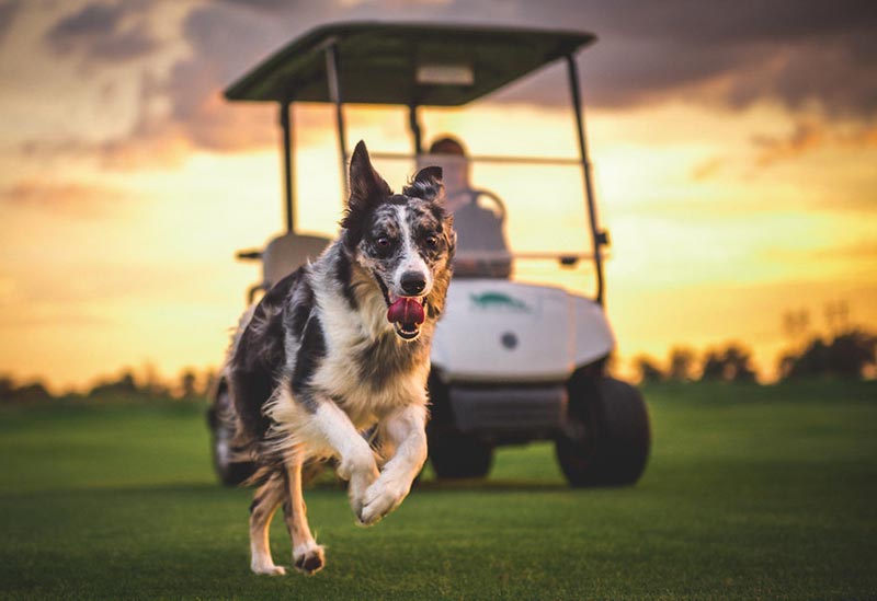 Turtle Creek Golf Course