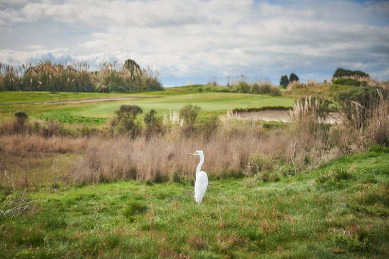 GCSAA Environmental Leaders in Golf