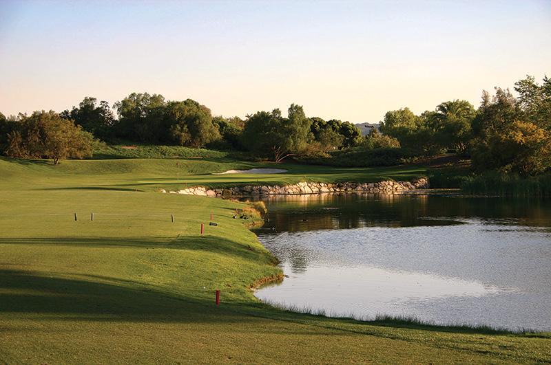 Golf course in daylight