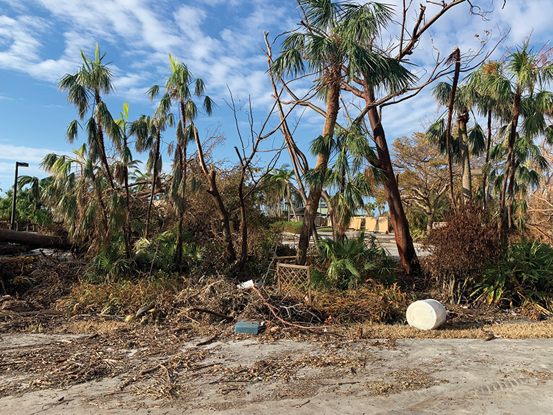 Hurricane Ian damage